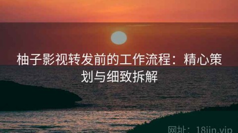 柚子影视转发前的工作流程：精心策划与细致拆解