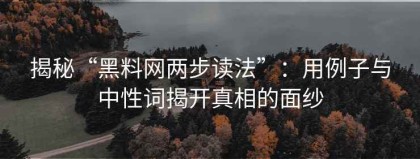 揭秘“黑料网两步读法”：用例子与中性词揭开真相的面纱