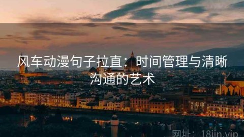 风车动漫句子拉直：时间管理与清晰沟通的艺术