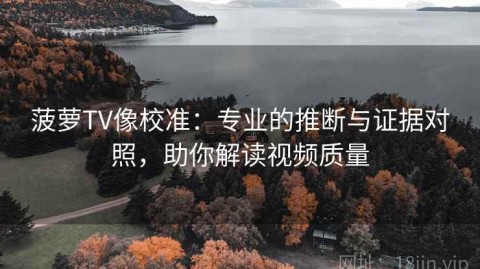 菠萝TV像校准：专业的推断与证据对照，助你解读视频质量