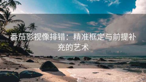 番茄影视像排错：精准框定与前提补充的艺术